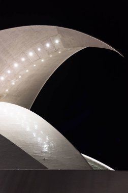 Santa Cruz de Tenerife, İspanya - 12 Şubat 2018: ünlü dönüm noktası Tenerife bina Auditorium, fütüristik ve ilham organik şekillerde gece sahne detay Santiago Calatrava tarafından tasarlanmıştır.