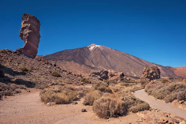 Teide national park on a sunny day Tenerife, Canary islands, Spain. — Stock Photo, Image