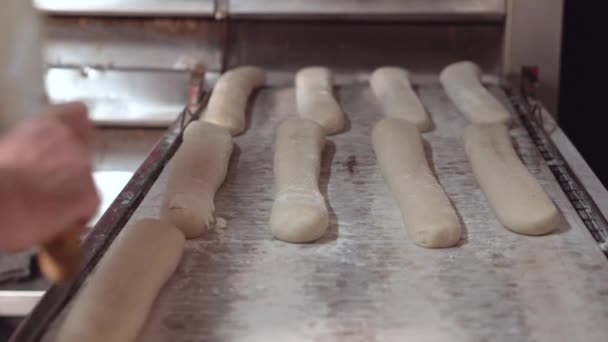 Haciendo una barra de pan en la panadería. Hoja de pan en la línea de producción en la industria de la panadería. Producción de la fábrica de pan. Transportador de fábrica de panadería . — Vídeos de Stock