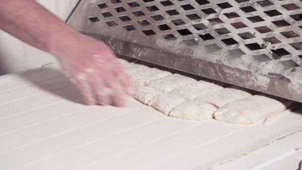 面包店生产线上的面包面包。 在传送带的面包店里放了一大块面包. 面包烘焙食品制造厂生产的新鲜产品. — 图库视频影像