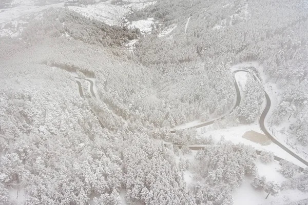Vue aérienne sur la route et la forêt en hiver. Forêt enneigée, paysage hivernal naturel . — Photo
