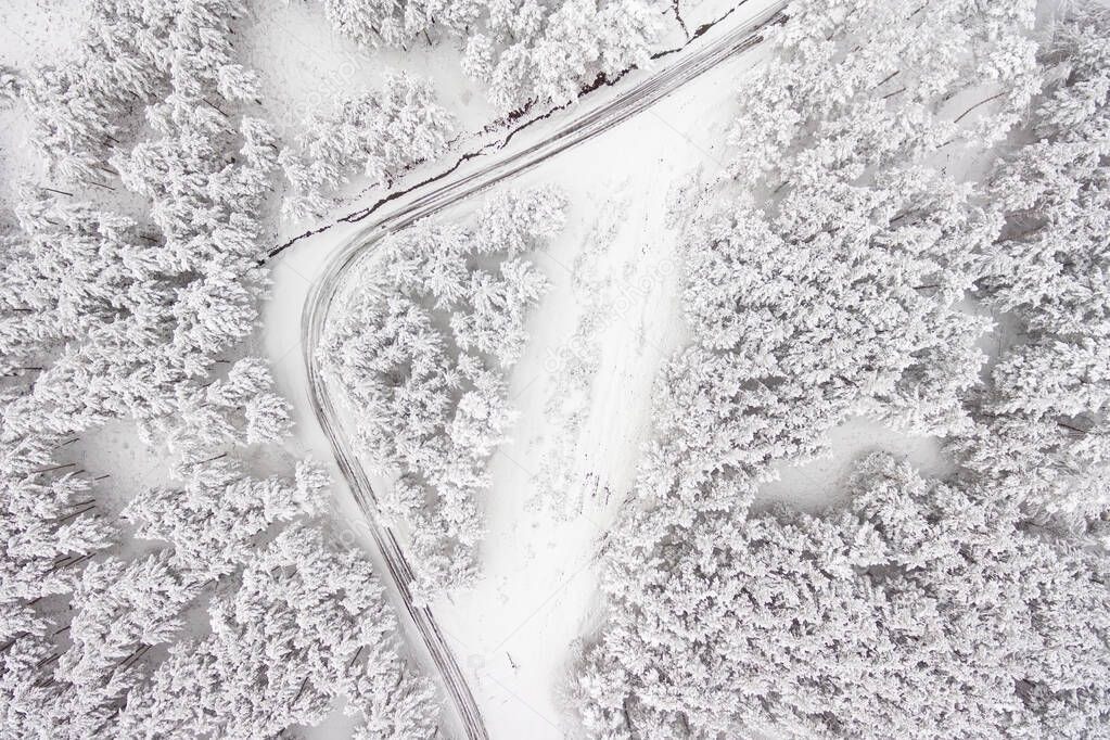 Aerial view on the road and forest at the winter time. Snowy forest, natural winter landscape. 