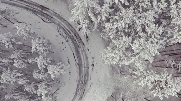 Country road in snowy forest on winter time, aerial view from drone. Scenic winter landscape. — ストック動画