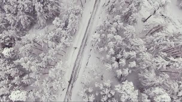 Strada di campagna nella foresta innevata in inverno, vista aerea dal drone. Paesaggio invernale paesaggistico . — Video Stock