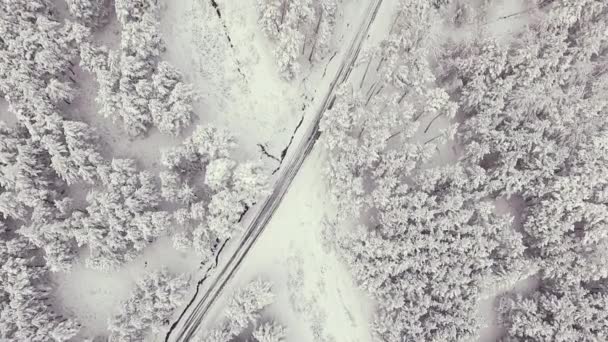 Landsväg i snöig skog på vintern, flygfoto från drönare. Natursköna vinterlandskap. — Stockvideo