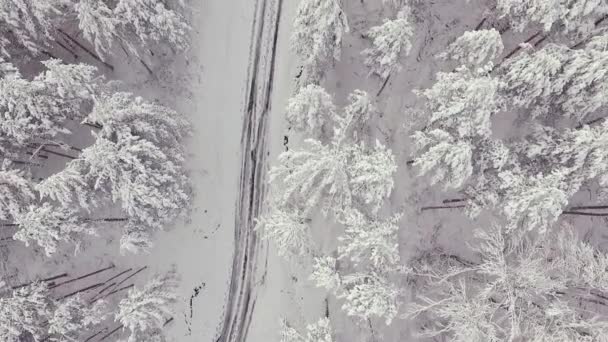 Landsväg i snöig skog på vintern, flygfoto från drönare. Natursköna vinterlandskap. — Stockvideo