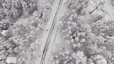 Kış zamanı karlı ormanda kır yolu, İHA 'dan hava manzarası. Manzaralı kış manzarası.