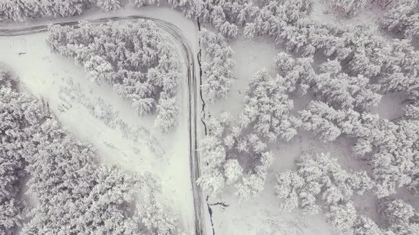 Landstraße im verschneiten Wald im Winter, Luftaufnahme von der Drohne. malerische Winterlandschaft. — Stockvideo