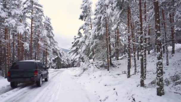 Carro off-road, dirigindo na estrada da montanha na estrada nevada, cercado por árvores cobertas de neve . — Vídeo de Stock