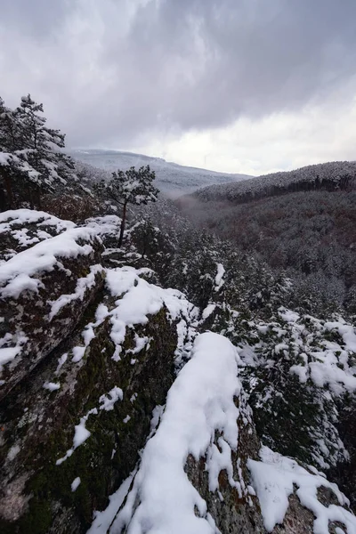 Beau paysage hivernal avec des arbres enneigés. — Photo