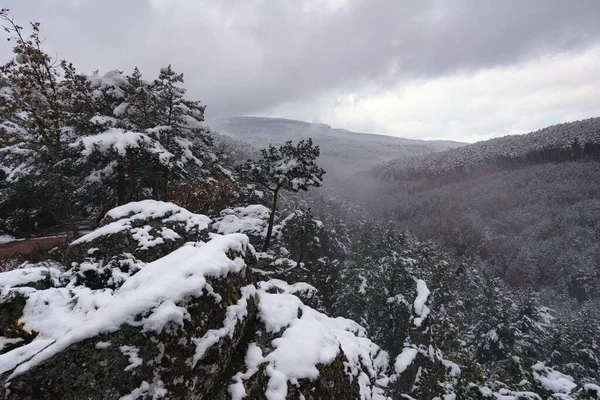 Krásná zimní krajina se zasněženými stromy. — Stock fotografie