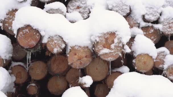 Rundholz für Brennholz geschnitten und gestapelt, mit Schnee bedeckt. — Stockvideo