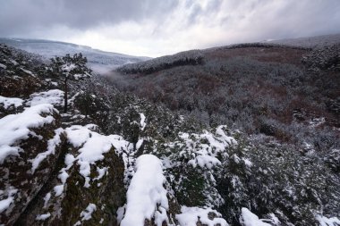 Karla kaplı ağaçlarla kaplı güzel kış manzarası.