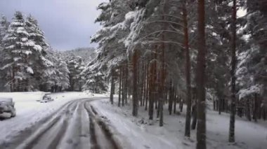 Dağ yolu karla kaplı. Beyaz karla kaplı köknar ağaçlarının yanından geçen kar kaplı bir dağ ormanının yolundaki sabit kamera görüntüleri..