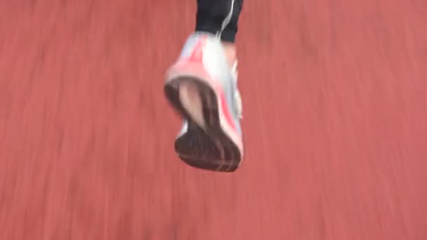 Zadní pohled na běžce v sportovních punčocháčích běžící na trati během atletického tréninku. — Stock video