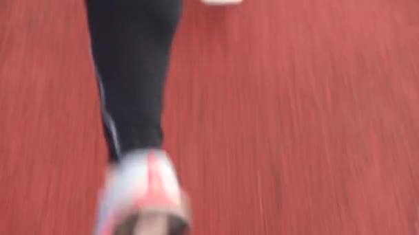 Vista trasera del corredor con mallas deportivas corriendo en pista durante el entrenamiento de atletismo. — Vídeos de Stock