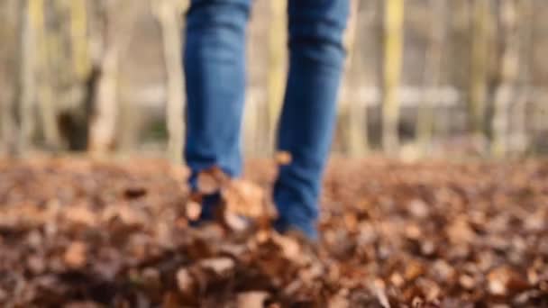 Hombre juguetón levantando una pila de hojas coloridas durante un paseo por el parque idílico en otoño. Hombre caminando por sendero lleno de hojas de árboles. Movimiento lento, ángulo bajo . — Vídeos de Stock