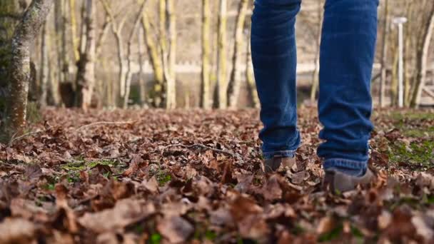 Hombre caminando a través de las hojas durante un paseo por el parque idílico en otoño. Hombre caminando por sendero lleno de hojas de árboles. Movimiento lento, ángulo bajo . — Vídeos de Stock