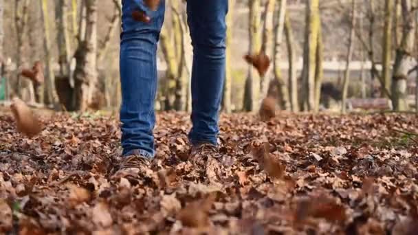 Speelse man schoppende een stapel kleurrijke bladeren tijdens een wandeling door het idyllische park in de herfst. Een man die over een pad vol boombladeren loopt. Langzame beweging, lage hoek. — Stockvideo