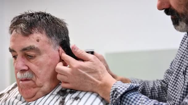 Barber trimming hair of old man at barber shop. — 비디오