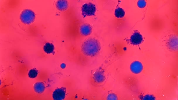 Expérience en laboratoire, Éclosion d'agent pathogène de bactérie et de virus, maladie causant des microorganismes. Contexte du coranavirus . — Video