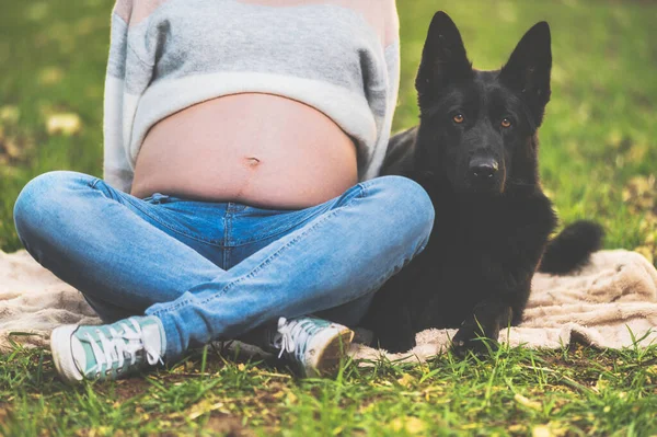 Беременная женщина и ее собака играют в парке . — стоковое фото