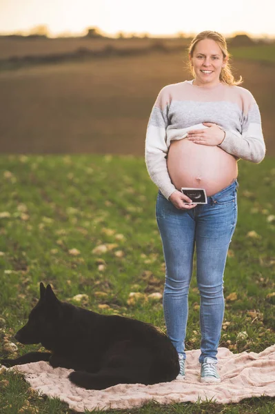 Donna incinta e il suo cane che giocano nel parco . — Foto Stock