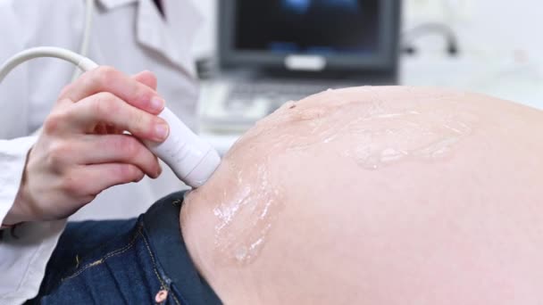 Arzt macht Ultraschall oder Sonogramm einer schwangeren Frau im Krankenhaus, Nahaufnahme des Hebammen, der den Schallkopf auf den Bauch der zukünftigen Mutter bewegt. — Stockvideo