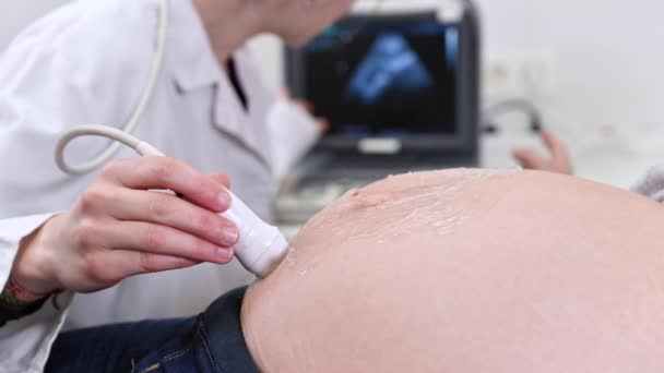 El médico le hace un ultrasonido o un procedimiento de ecografía a una mujer embarazada en el hospital, toma de cerca del transductor en movimiento obstétrico en el vientre de la futura madre . — Vídeos de Stock