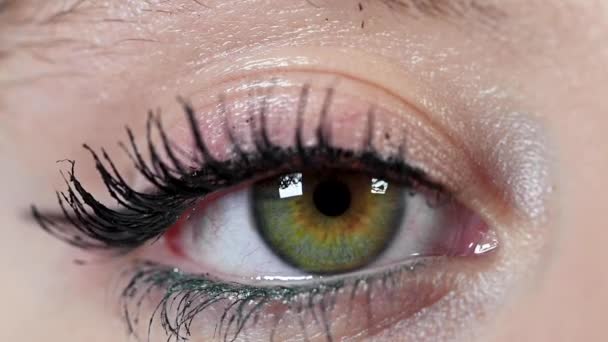 Close up beautiful green eye of woman, opening and blinking human iris macro natural beauty. — Stock Video