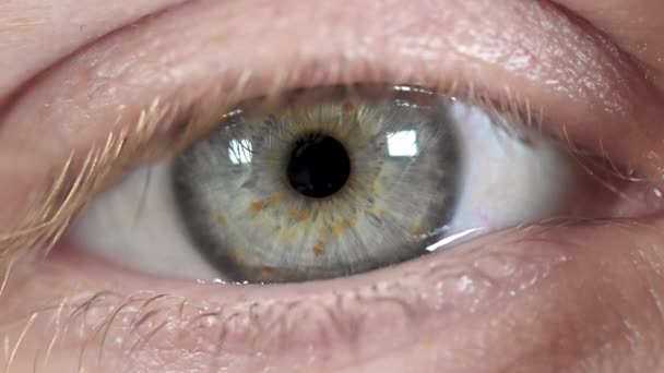 Close up beautiful blue eye of woman, opening and blinking human iris macro natural beauty. — Stock Video