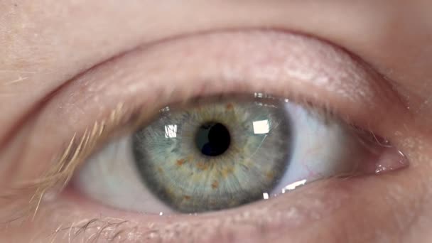 Zbliżenie się piękne niebieskie oko kobiety, otwarcie i mrugnięcie ludzka tęczówka makro naturalne piękno. — Wideo stockowe