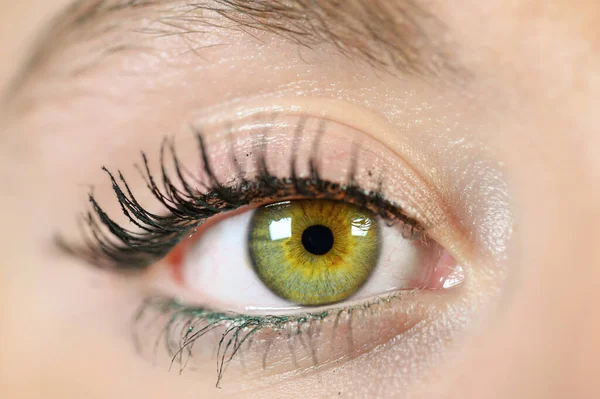 Kvinnliga öga närbild. Makro. Perfekt makeup och ögonbryn. Vackra gröna ögon. — Stockfoto