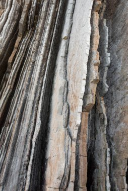 Zumaia, Bask Ülkesi, İspanya 'da kaya tabakası, jeolojik doku ayrıntıları.