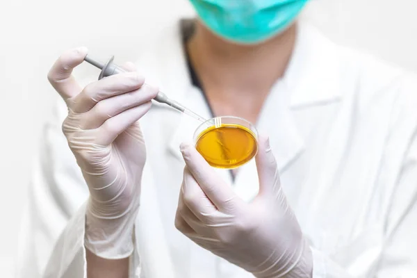 Vista de perto do cientista com placa de Petri e pipeta. Experiência biológica em laboratório . — Fotografia de Stock