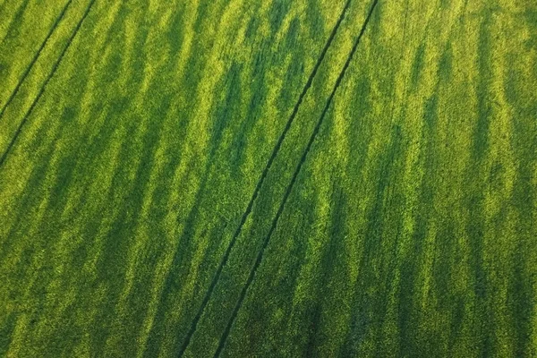 Vista aérea de uma paisagem de campo agrícola, campo amarelo sem fim ao pôr do sol . — Fotografia de Stock