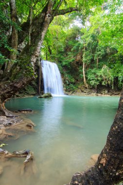 Derin orman Erawan şelale Milli Parkı Kanchanaburi Tayland, şelaleler