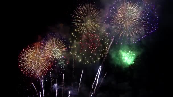 Prachtige Kleurrijke Vakantie Vuurwerk Zwarte Lucht Achtergrond — Stockvideo