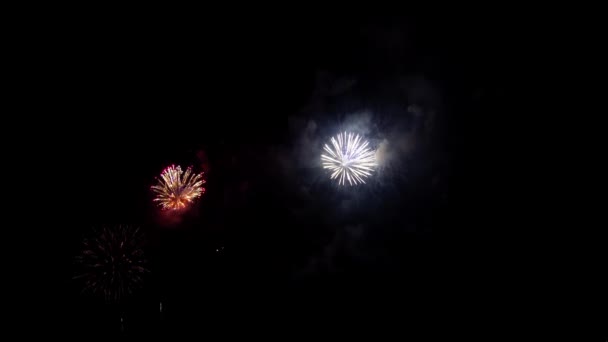 Beautiful Colorful Holiday Fireworks Black Sky Background — Stock Video