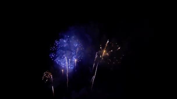 Schöne Bunte Urlaub Feuerwerk Auf Dem Schwarzen Himmel Hintergrund — Stockvideo