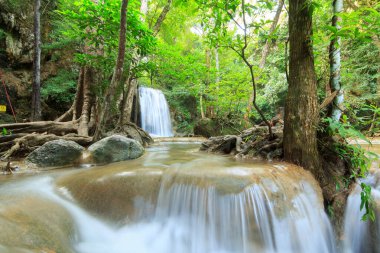 Ulusal Park K 'daki Erawan Şelalesinde Ormanın İçindeki Şelaleler