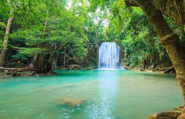 Ulusal Park K 'daki Erawan Şelalesinde Ormanın İçindeki Şelaleler