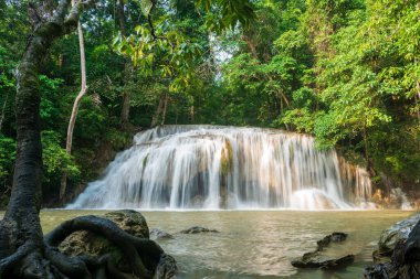 derin orman şelaleler