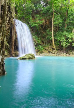 Ulusal Park K 'daki Erawan Şelalesinde Ormanın İçindeki Şelaleler