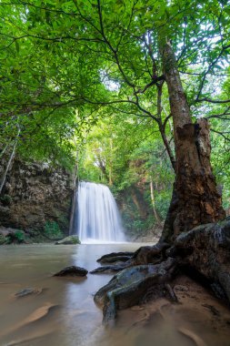 derin orman şelaleler