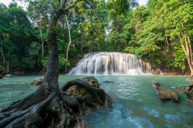 derin orman şelaleler