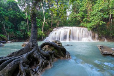 derin orman şelaleler