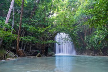 derin orman şelaleler