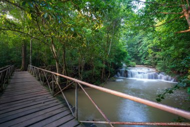 derin orman şelaleler