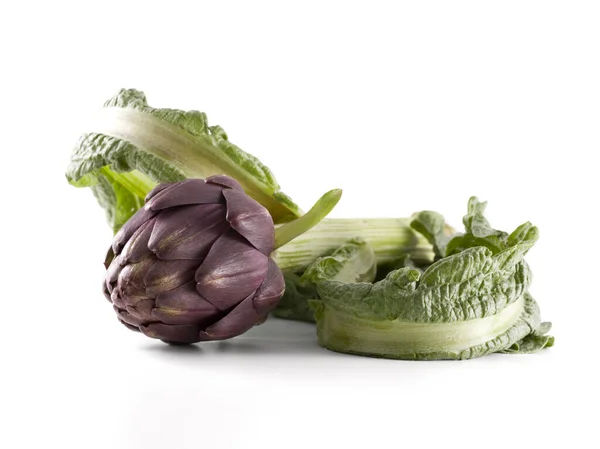 Ham rtichoke beyaz arkaplanda izole